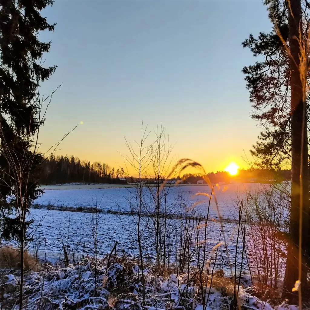 Talvipäivän aurinko, Vantaa, Suomi | InTravel blogi