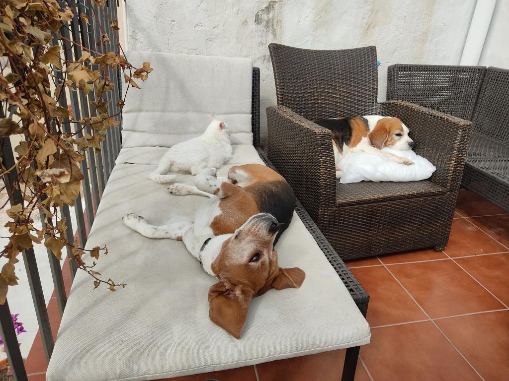 InTravel - House sitting – mitä se on? InTravel - 1650287465299