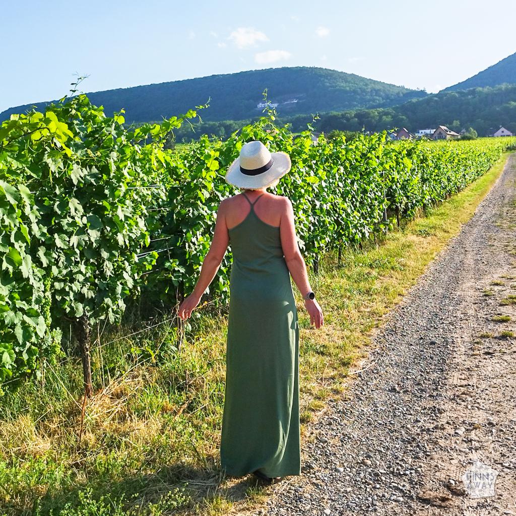 InTravel - Dijonin kautta Alsaceen ja halki Saksan kohti pohjoista On a walk along a small road next the a vineyard in Alsace, France | Road trip halki Saksan ja Ranskan | InTravel