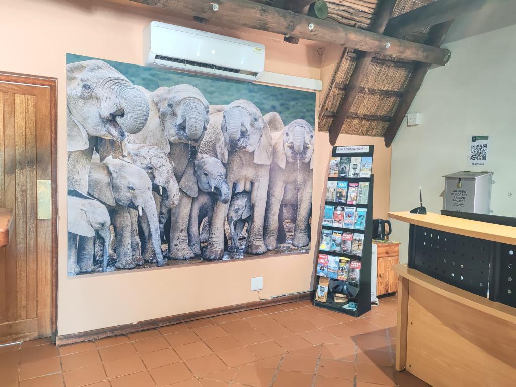 InTravel - Norsusafari Addon kansallispuistossa Etelä-Afrikassa Addon vierailukeskus | Norsusafarilla Addossa | Addon kansallispuisto | Etelä-Afrikka | InTravel blogi