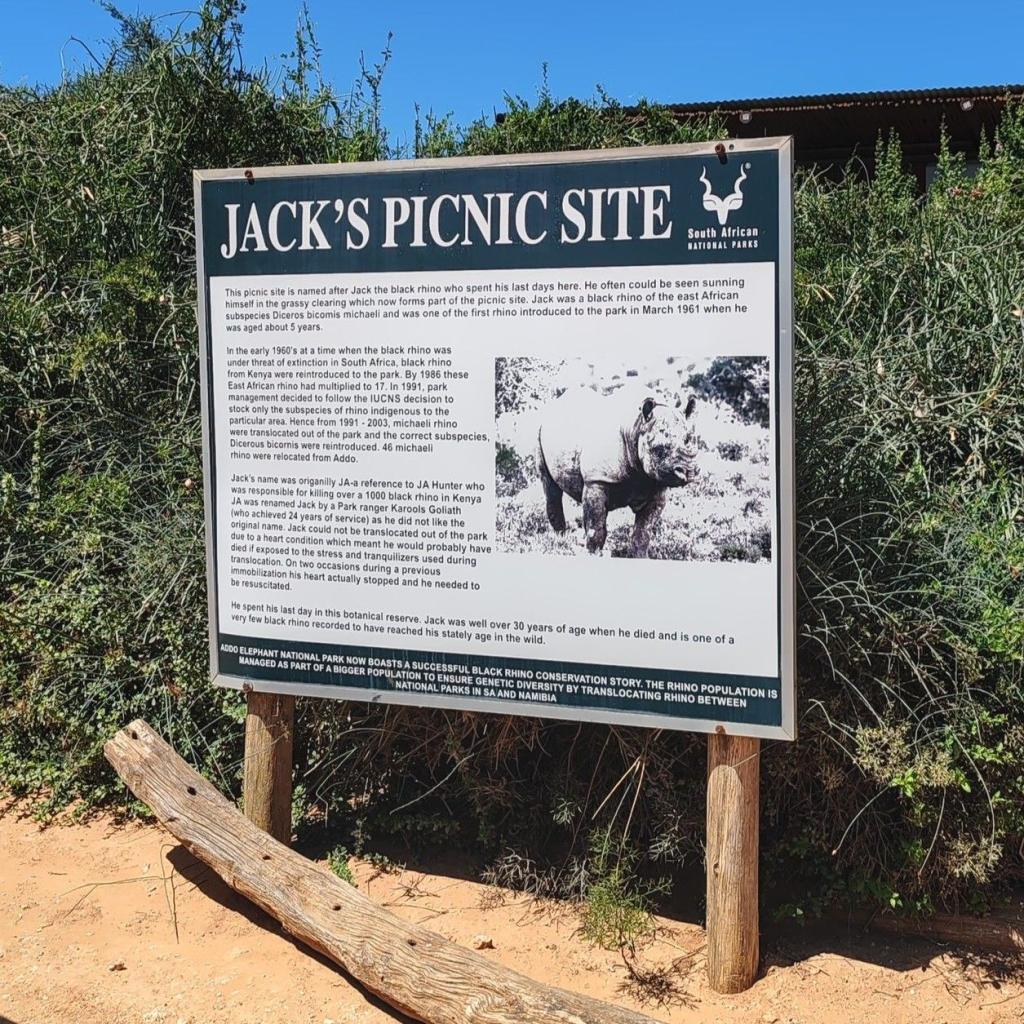 InTravel - Norsusafari Addon kansallispuistossa Etelä-Afrikassa Jack's Picnic Site | Norsusafarilla Addossa | Addon kansallispuisto | Etelä-Afrikka | InTravel blogi