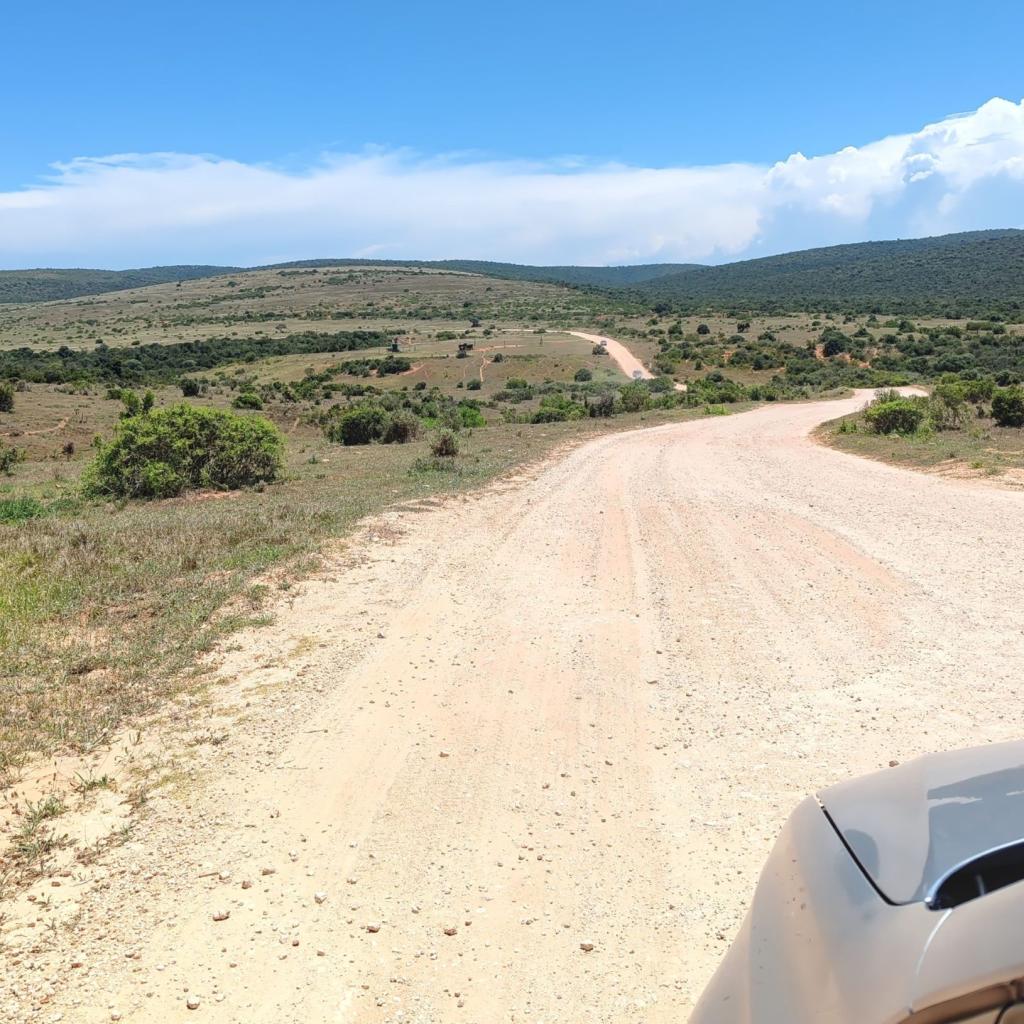 InTravel - Norsusafari Addon kansallispuistossa Etelä-Afrikassa Addon maisemaa | Norsusafarilla Addossa | Addon kansallispuisto | Etelä-Afrikka | InTravel blogi