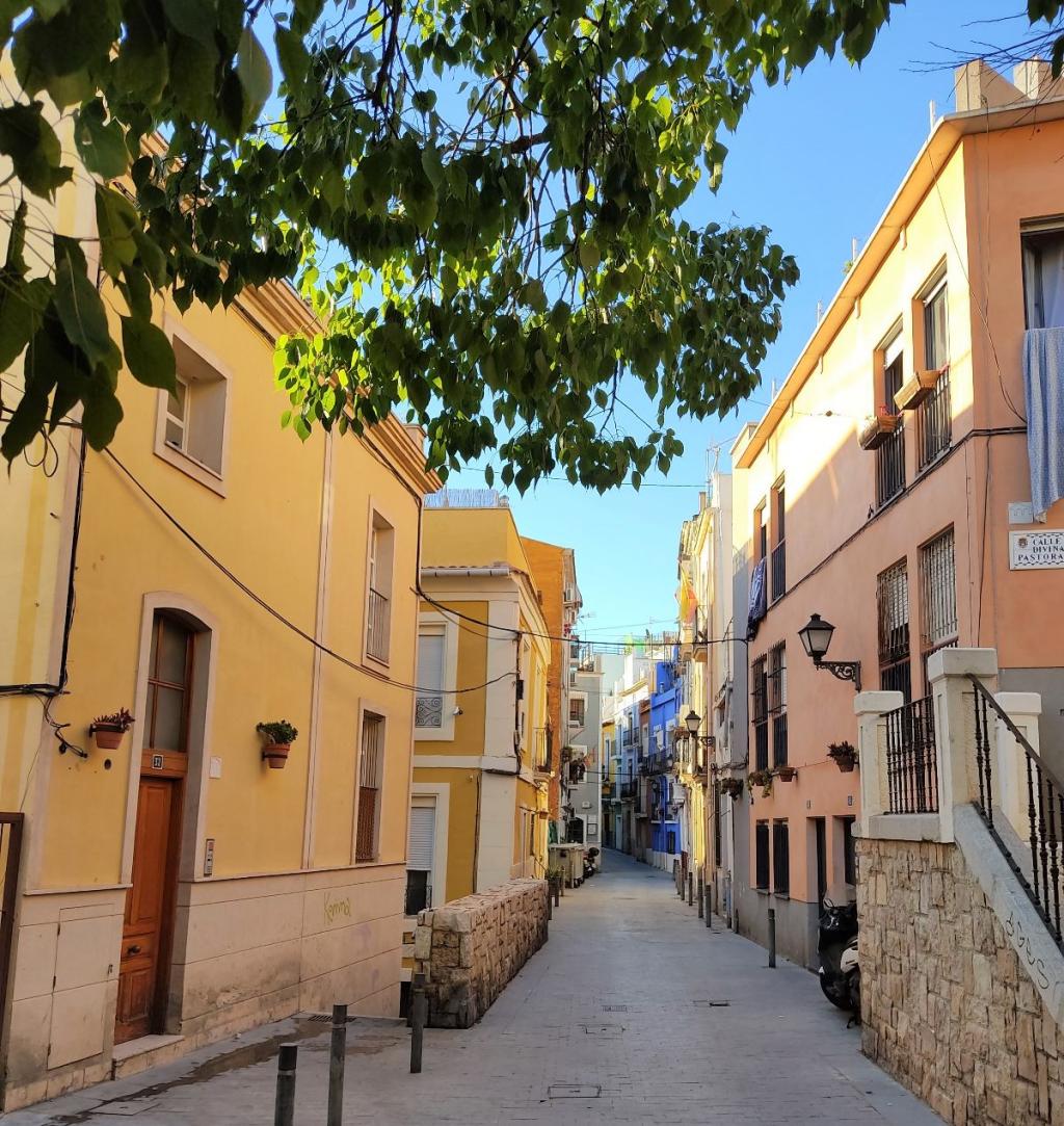 InTravel - Alicantea, appelsiinilehtoja ja koiranvahtihommia Alicante | Reissupäiväkirjaa Alicantesta ja Valenciasta | InTravel blogi