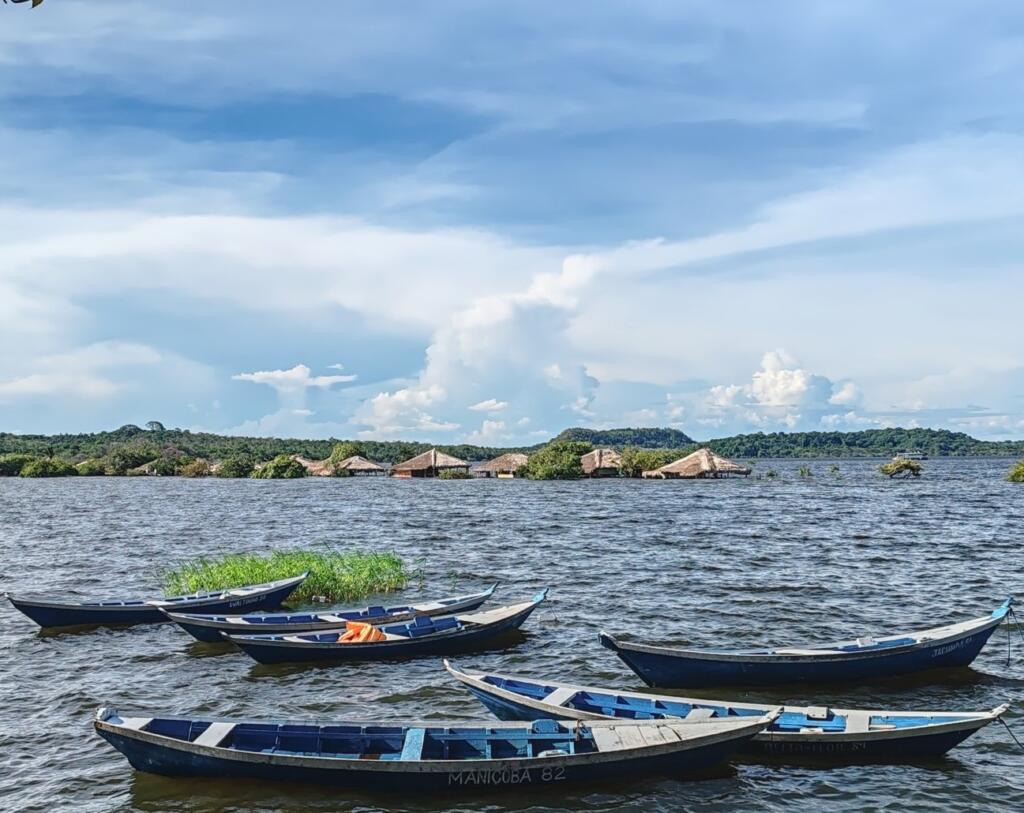 | Brasilia | Amazon jokilaivalla Manaus - Santarem - Belem | InTravel