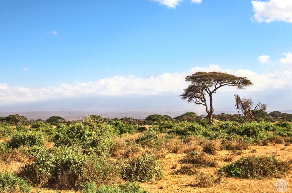 Maisema Amboselin kansallispuistossa | Amboseli National Park Kenya | InTravel