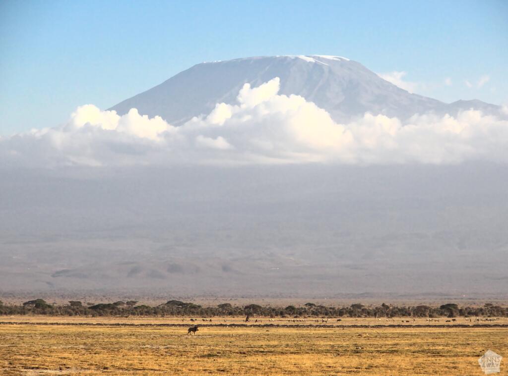 Kilimanjaro | Amboseli National Park Kenya | InTravel