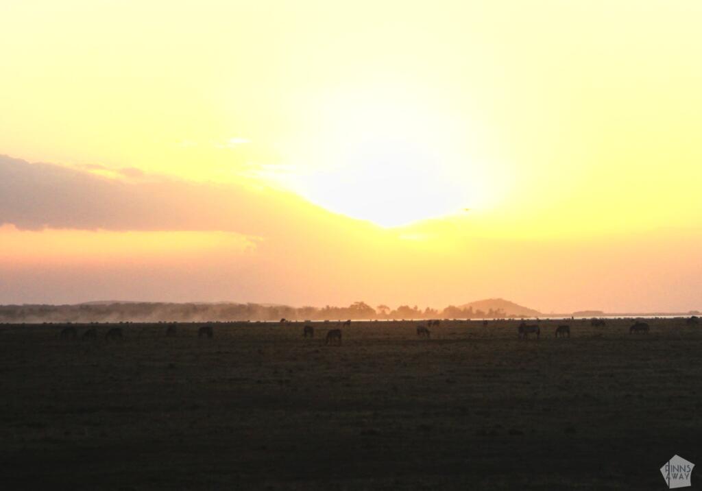 Auringonlasku Amboselissa | Amboseli National Park Kenya | InTravel