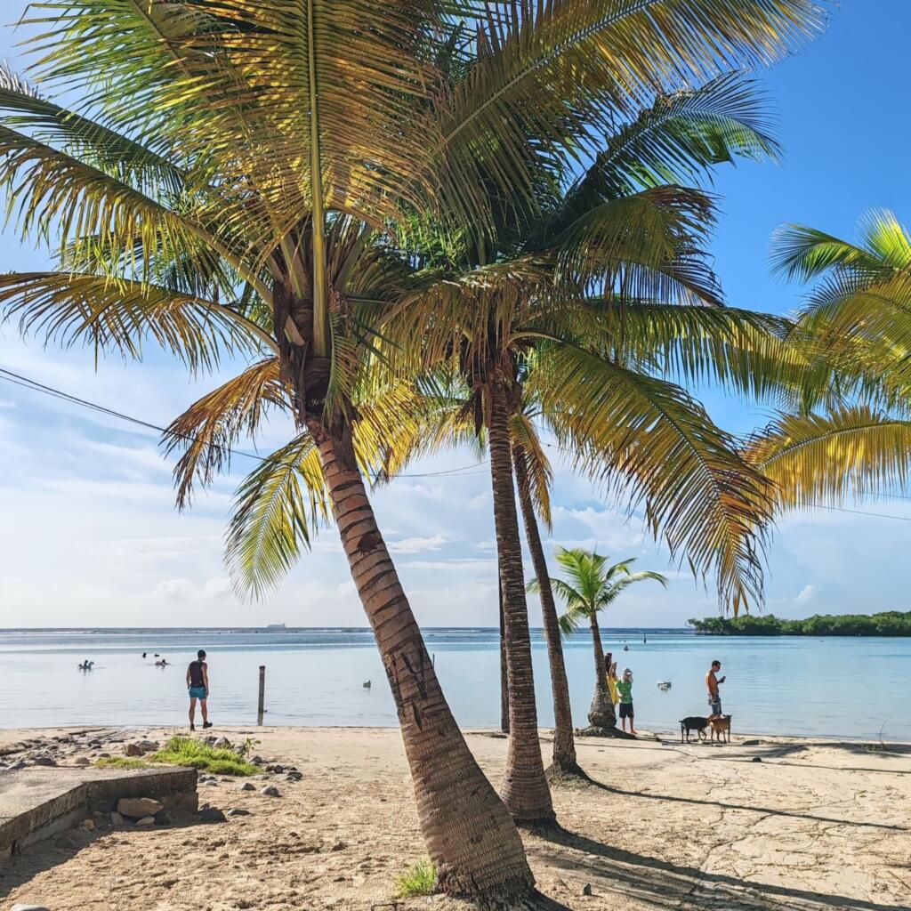 InTravel - Dominikaaninen tasavalta; Boca Chica, Las Terrenas ja Samana Boca Chican rantaa | Dominikaaninen tasavalta; Boca Chica ja Samanan niemimaa | InTravel blogi