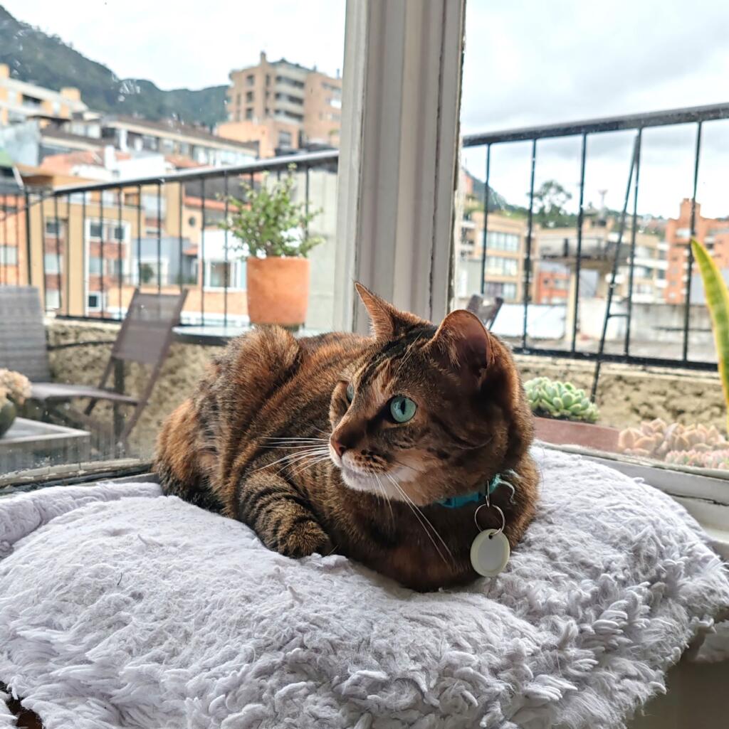 InTravel - Seikkailu Kolumbiassa vei suurkaupungeista rantakohteisiin InTravel - Bogota housesit