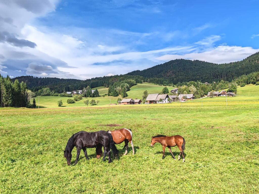 Talonvahteina Bohinjissa, Slovenia | InTravel