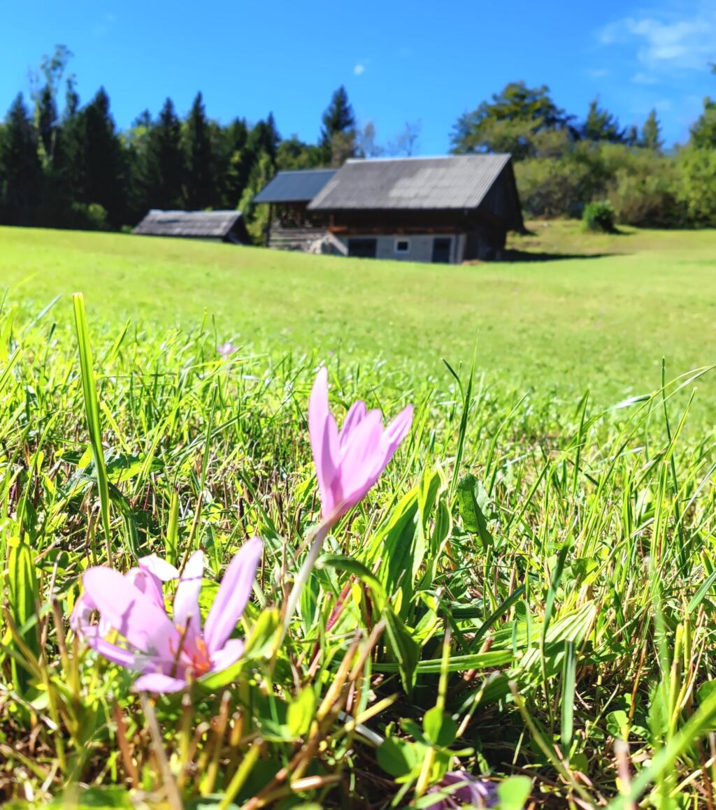 Talonvahteina Bohinjissa, Slovenia | InTravel
