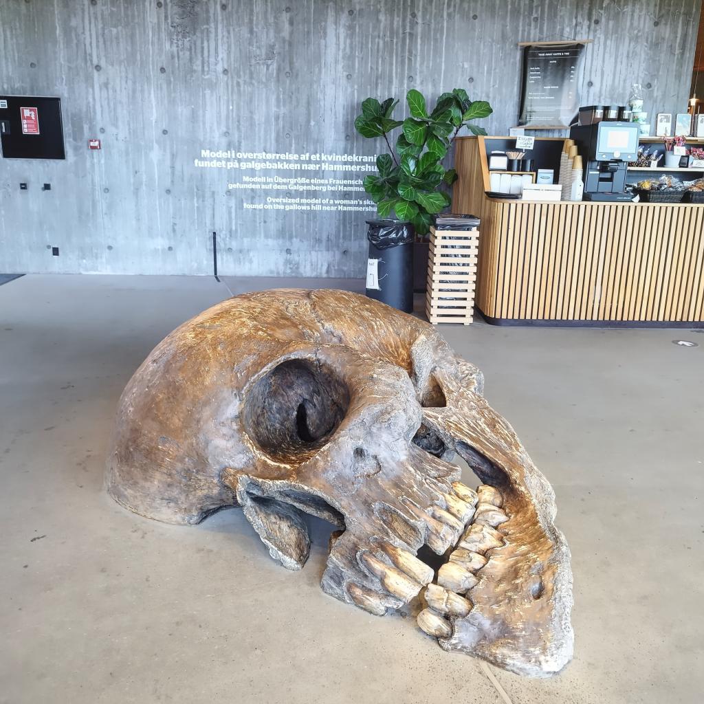 Pääkalloveistos, Hammershusin linnoitus, Bornholm | road trip | InTravel