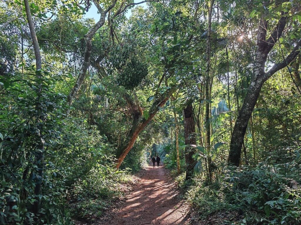 InTravel - Tyrmäävän upeat Iguassun putoukset Brasilian ja Argentiinan rajalla Trilha das Bananeiras patikkareitti | Iguassun putoukset Brasilian ja Argentiinan rajalla | InTravel blogi