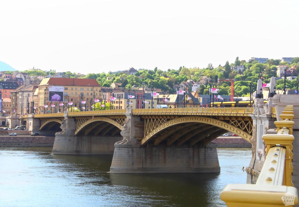 InTravel - Koiravahteina hurmaavassa Budapestissa Margaretin silta | Koiravahteina hurmaavassa Budapestissa | InTravel blogi