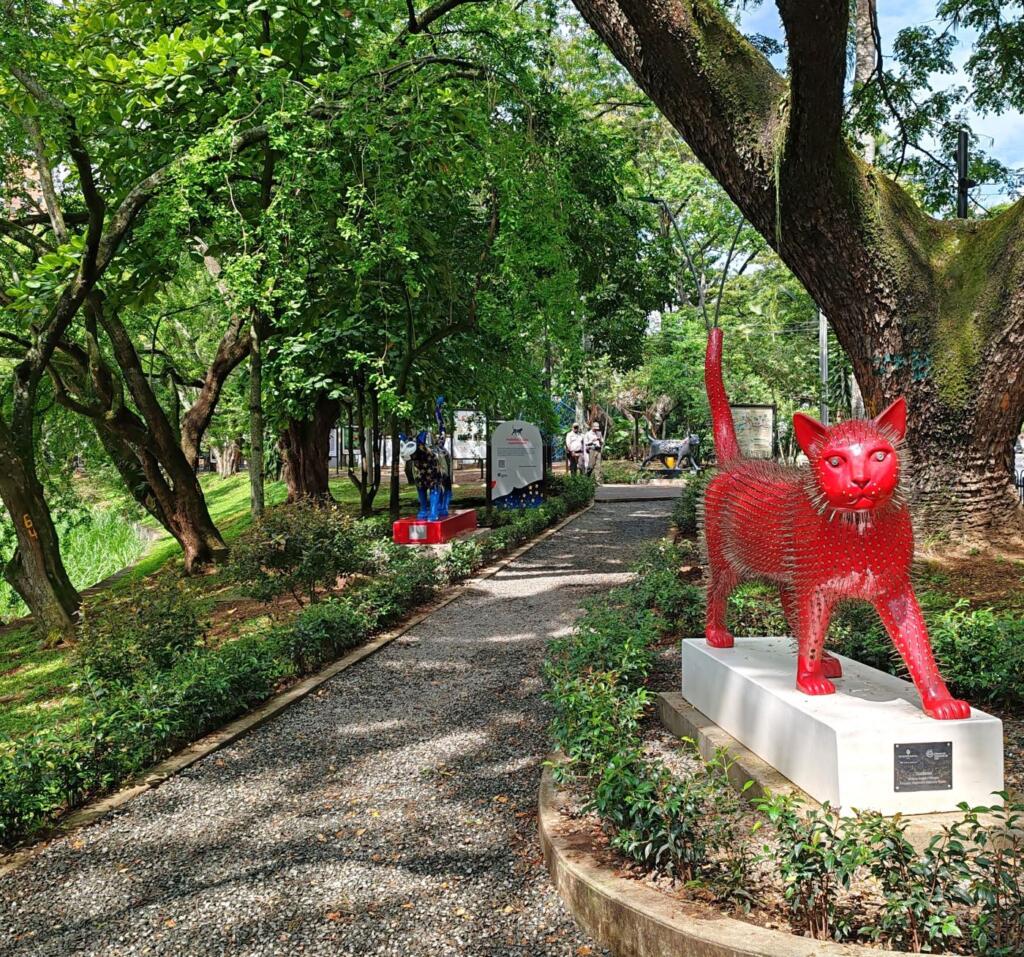 InTravel - Seikkailu Kolumbiassa vei suurkaupungeista rantakohteisiin Parque de los Gatos "kissapuisto", Cali | Kolumbia | InTravel blogi