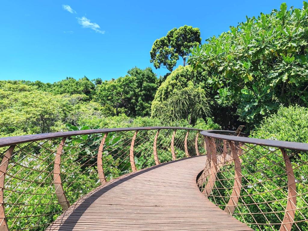 Canopy silta Kirstenboschin kasvitieteellisessa puutarhassa | Kapkaupunki on Etelä-Afrikan kaunein kaupunkikohde | InTravel blogi