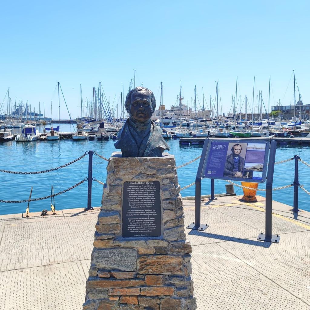 Charles Darwin monumentti Simon's Townissa | Kapkaupunki on Etelä-Afrikan kaunein kaupunkikohde | InTravel blogi