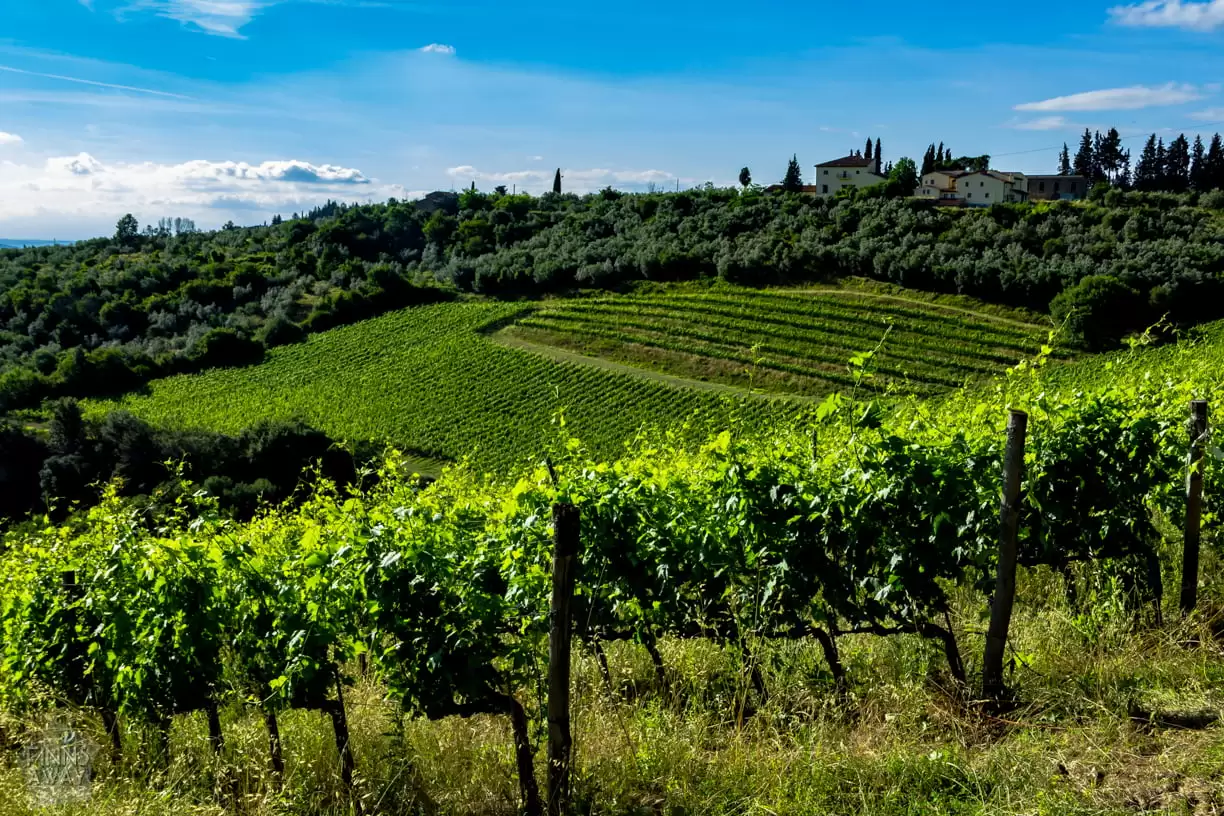 InTravel - Kesäkuu 2018 osa 1: Automatkailua, viinitilavierailu ja patikointia Italiassa Colle Sorripa viinitila Italian Toscanassa | InTravel