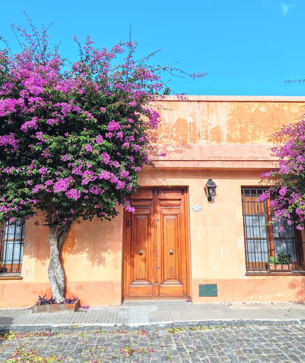 InTravel - Vuosikooste 2025 - Karibiaa, Lattareita, Eurooppaa ja Afrikkaa Katumaisema Colonia del Sacramentossa | Uruguay | InTravel blogi