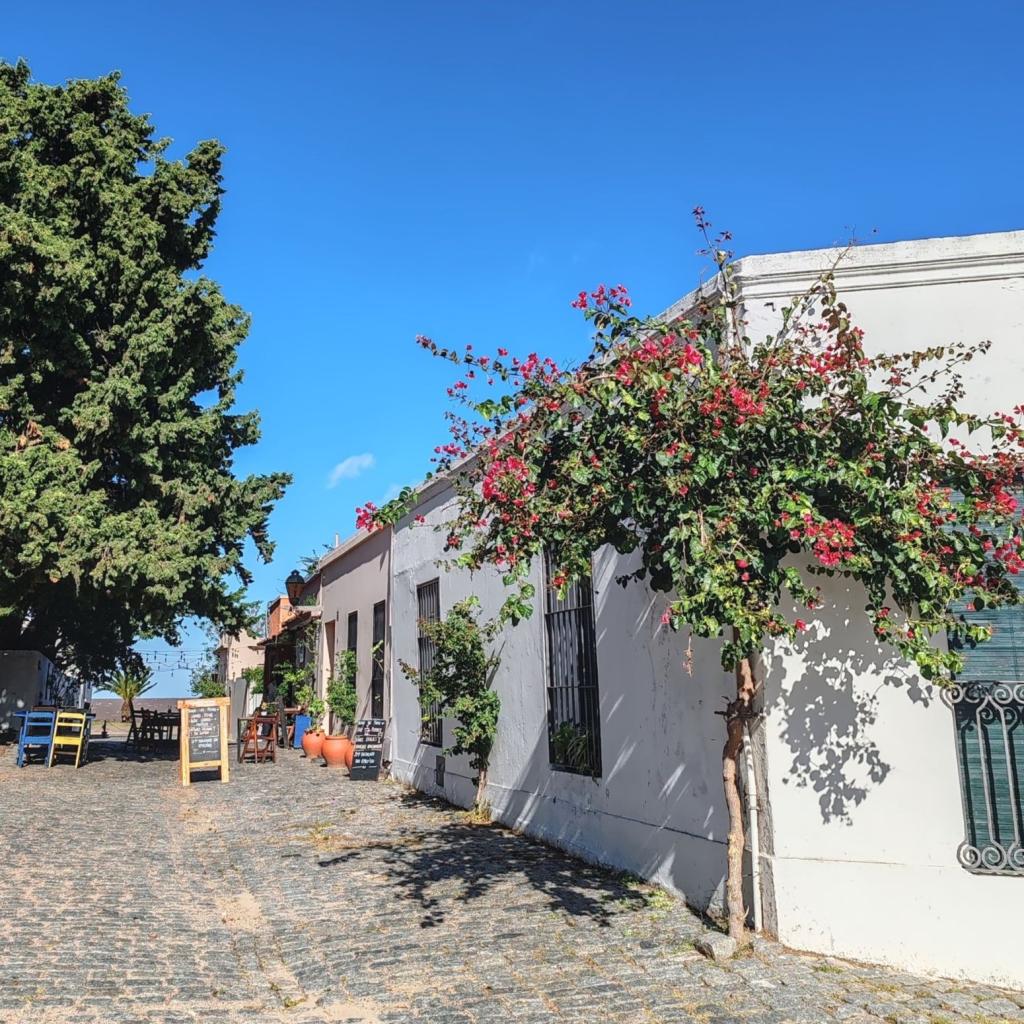 InTravel - Uruguay: Colonia del Sacramento, Montevideo ja Rivera katumaisema Colonia del Sacramentossa | Uruguay | InTravel blogi