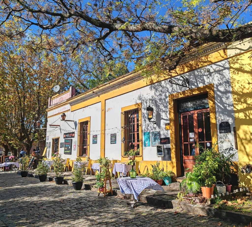 InTravel - Uruguay: Colonia del Sacramento, Montevideo ja Rivera Syksyinen katumaisema Colonia del Sacramentossa | Uruguay | InTravel blogi
