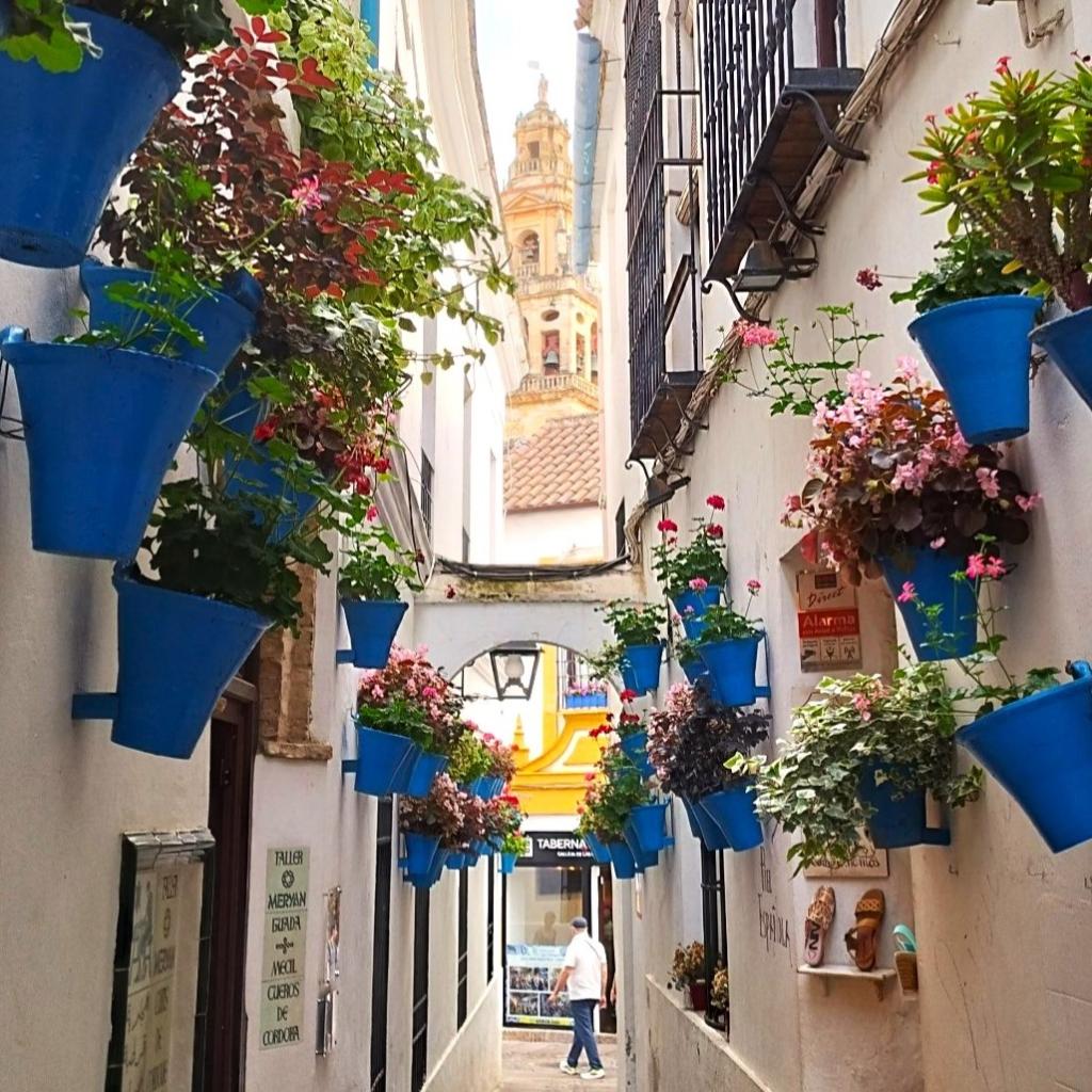 InTravel - Espanjasta Portugalin Elvasiin upean Córdoban kautta Calleja de las Flores -kuja Cordobassa | Road trip Espanjasta Portugaliin | InTravel