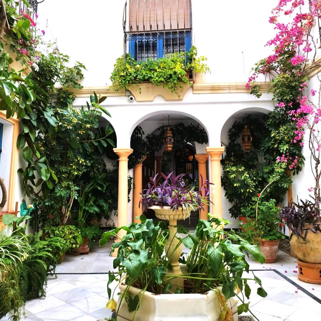 InTravel - Espanjasta Portugalin Elvasiin upean Córdoban kautta Värikäs patio Cordobassa | Road trip Espanjasta Portugaliin | InTravel
