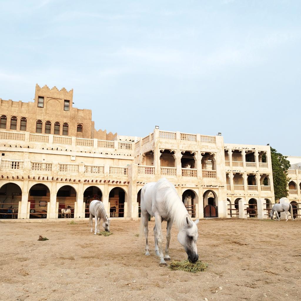 Horse Stables, Souq Waqif, Doha, Qatar | Dohan stopoverin kautta Nairobiin | InTravel blogi