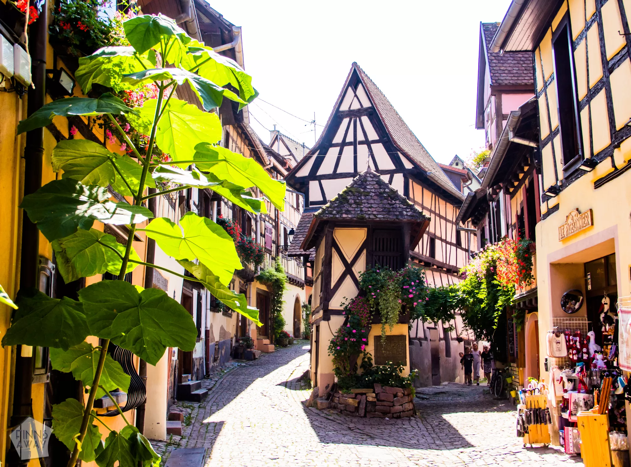InTravel - Elo- syyskuu 2019: Kyläelämää Alsacessa ja koiravahteina Saksan Engenissä Ristikkotalojen Eguisheim, Alsace, Ranska | InTravel Blogi