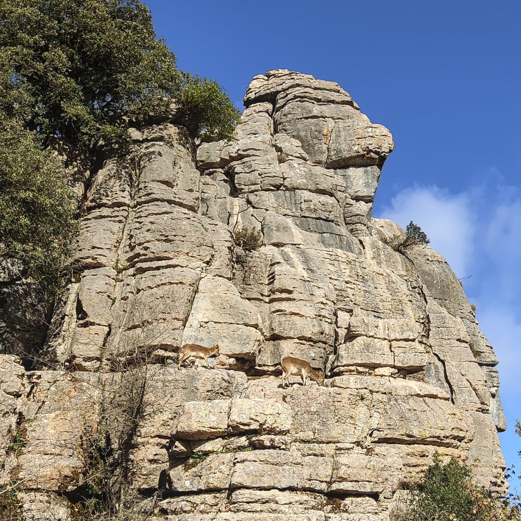 InTravel - El Torcal Andalusia Spain 2023 FinnsAway 0013