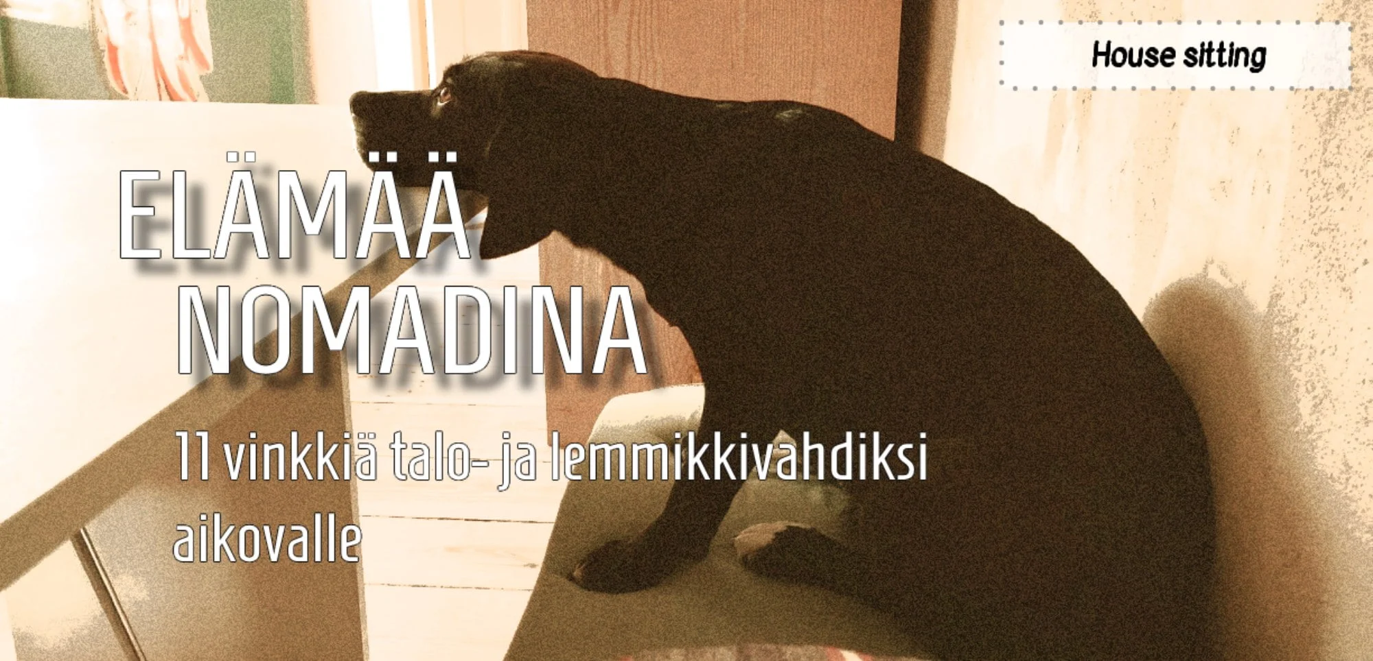 InTravel - 11 vinkkiä talonvahtina tai lemmikkivahtina toimimiseen ja valmistautumiseen InTravel - house sitting - 11 vinkkiä housesitteriksi eli talo- ja lemmikkivahdiksi aikovalle 2022