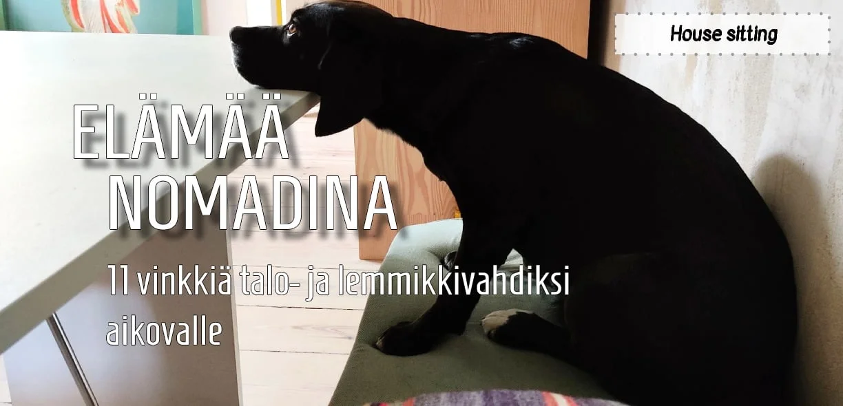 InTravel - house sitting - 11 vinkkiä housesitteriksi eli talo- ja lemmikkivahdiksi aikovalle 2022
