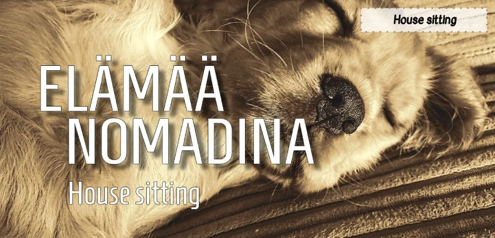 InTravel - House sitting – mitä se on? Mitä on house sitting? | InTravel blogi