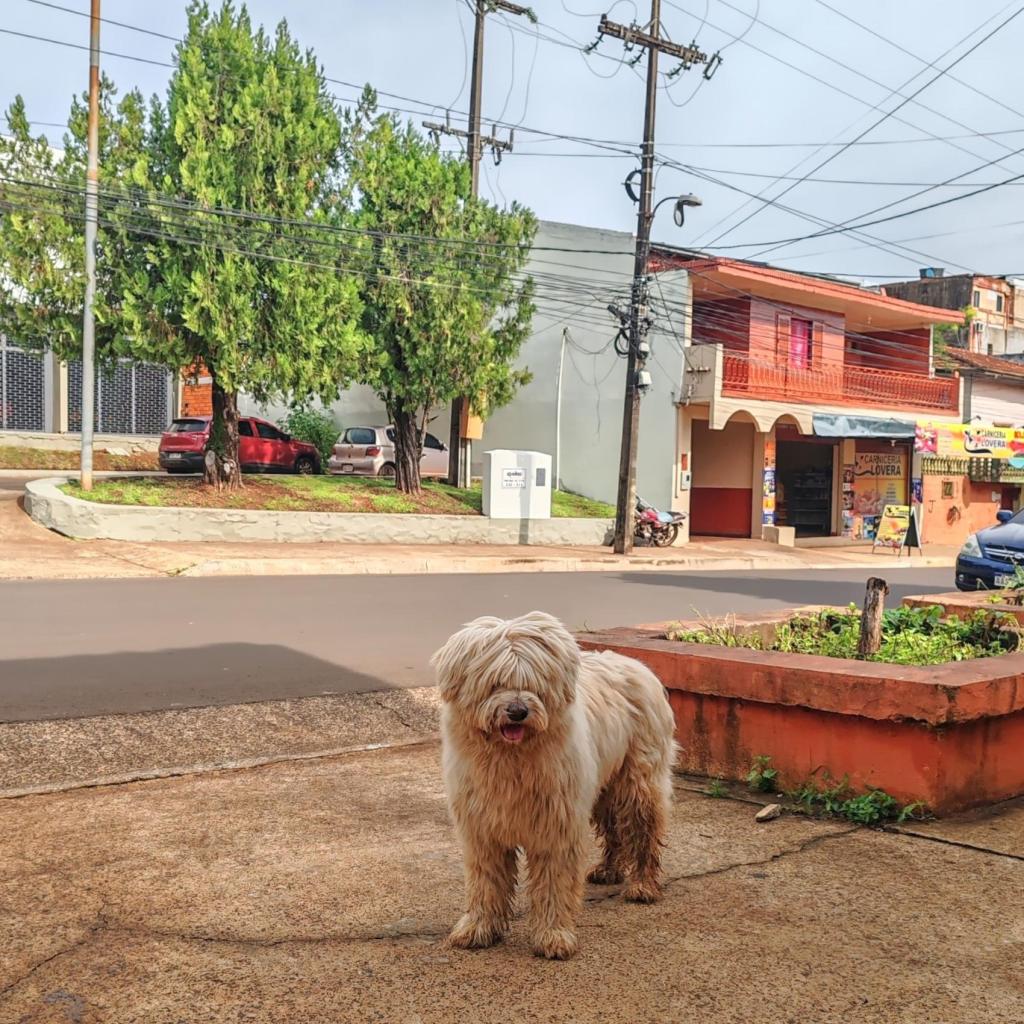 Katukoira, Encarncion | Paraguay | InTravel matkablogi
