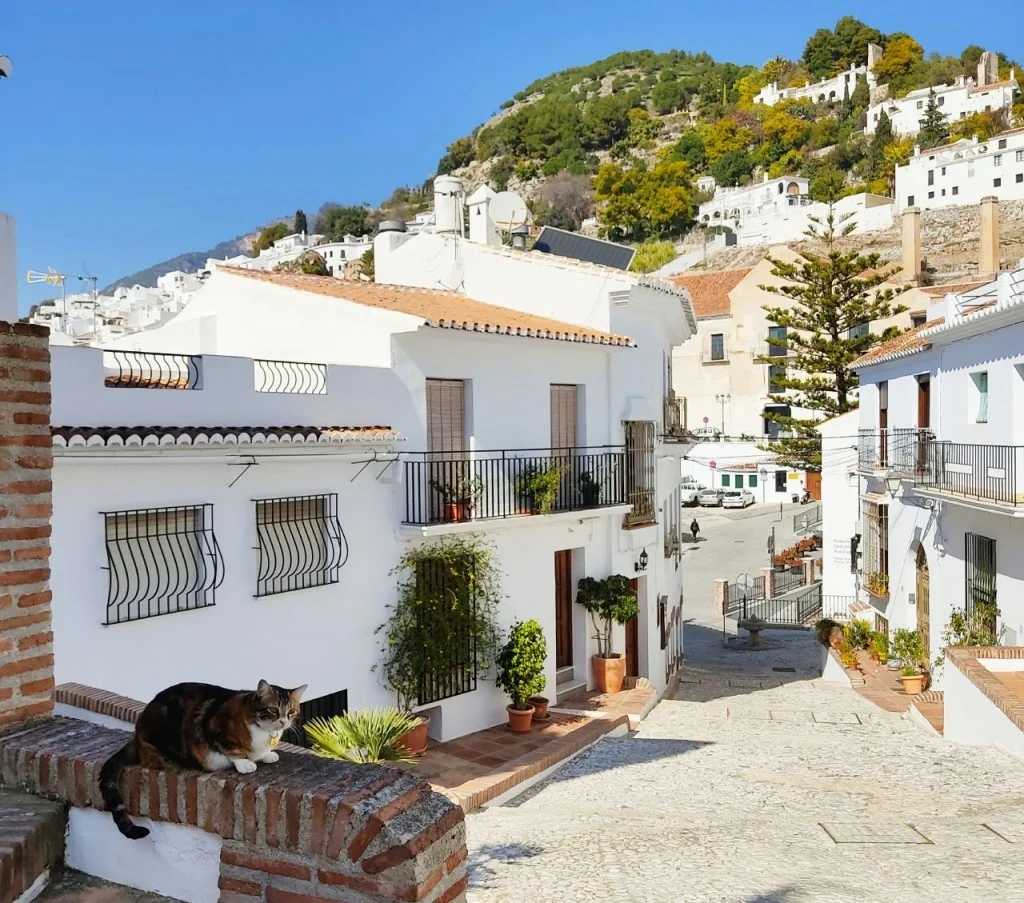 InTravel - Hurmaava Frigiliana, suosittu Nerja ja paluu Velez-Rubioon Matkalla Frigilianan historialliseen osaan | Andalusia, Espanja