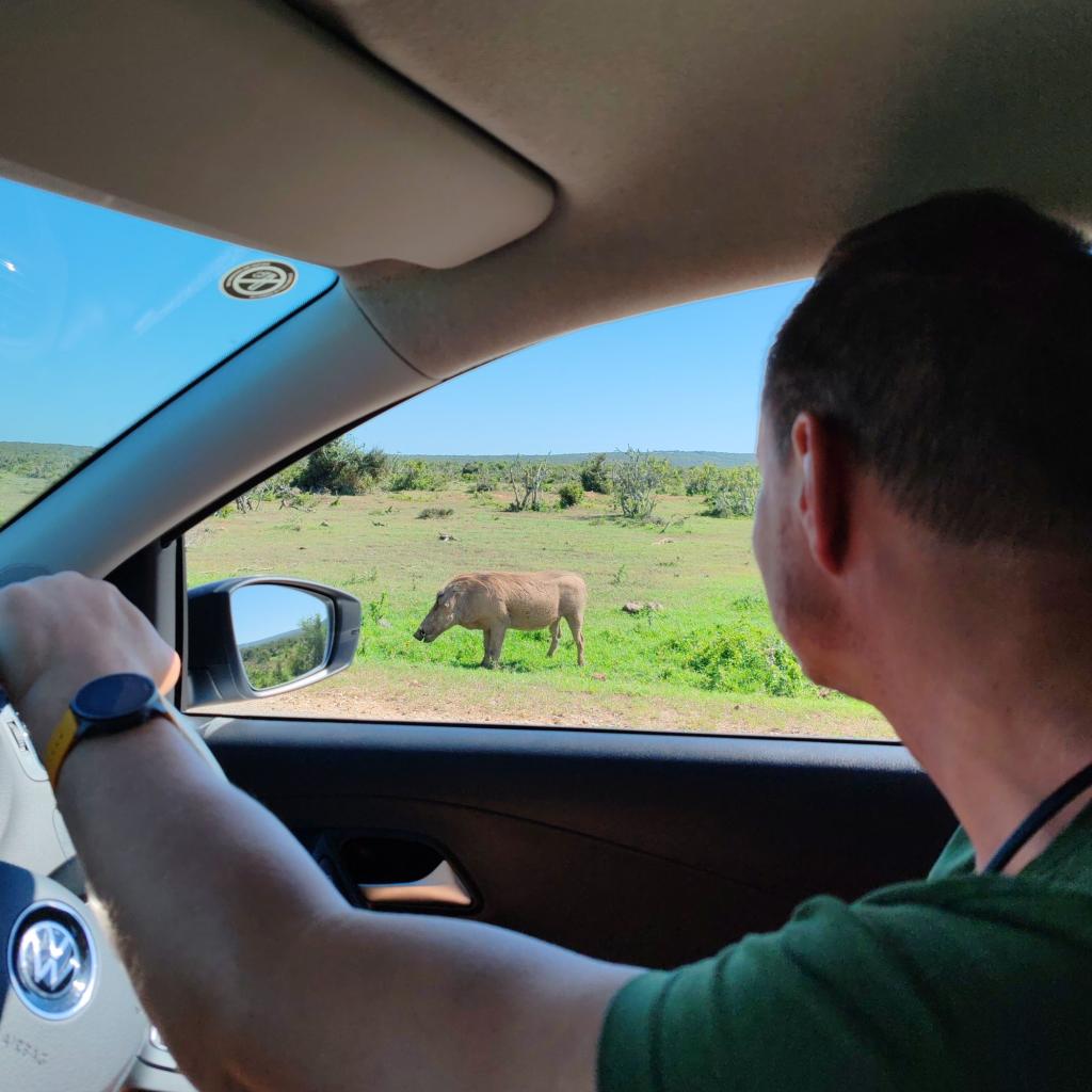 InTravel - Vuosikooste 2025 - Karibiaa, Lattareita, Eurooppaa ja Afrikkaa Omatoimisella safarilla Addon kansallispuistossa Etelä-Afrikassa | InTravel vuosikooste 2025