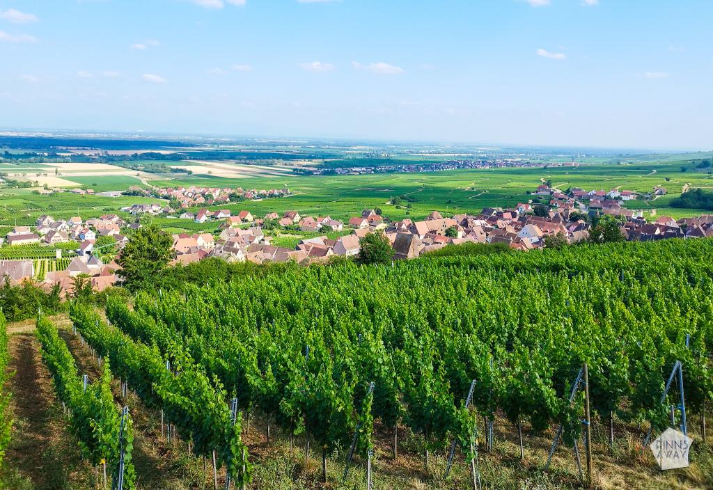 InTravel - Dijonin kautta Alsaceen ja halki Saksan kohti pohjoista Vineyards and villages in Alsace, France | Road trip halki Saksan ja Ranskan | InTravel