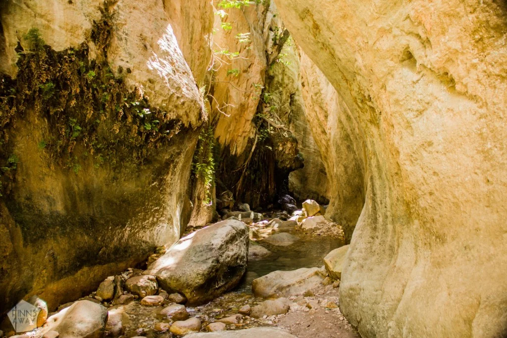Avakas Gorge -kanjoni, Kypros | InTravel Blogi