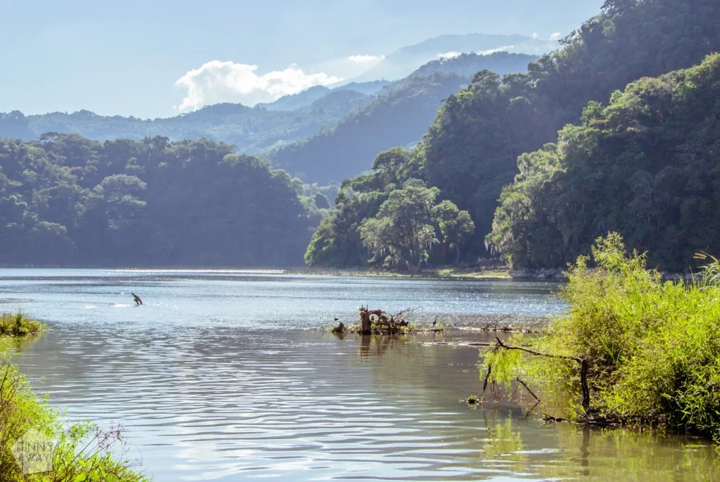 Laka Yojoa, Honduras | Kuukausi Keski-Amerikassa | InTravel Blogi