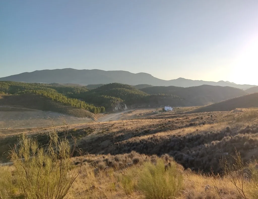 InTravel - Koronapäiväkirjat: Koiravahdiksi Espanjaan joulukuussa 2020 Housesitting Velez-Rubio Espanja | InTravel