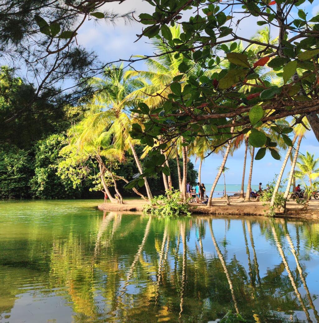 InTravel - Dominikaaninen tasavalta; Boca Chica, Las Terrenas ja Samana Joen suistoa Las Terrenasissa | Dominikaaninen tasavalta; Boca Chica ja Samanan niemimaa | InTravel blogi