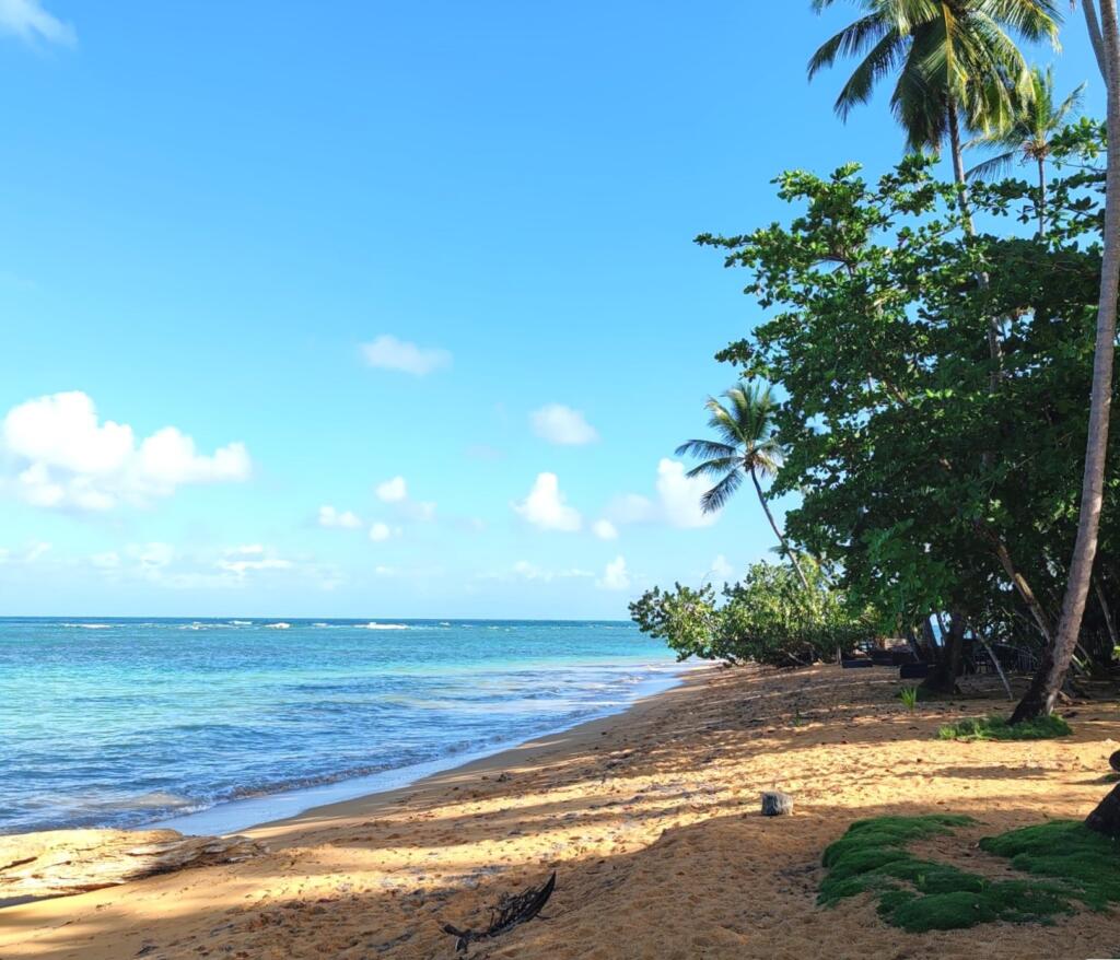 InTravel - Dominikaaninen tasavalta; Boca Chica, Las Terrenas ja Samana Playa Mar Gorda, Las Terrenas | Dominikaaninen tasavalta; Boca Chica ja Samanan niemimaa | InTravel blogi