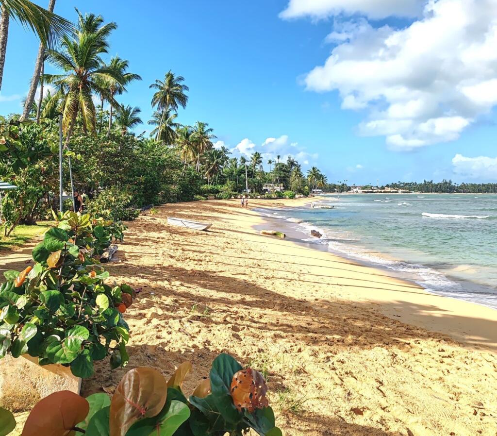 InTravel - Dominikaaninen tasavalta; Boca Chica, Las Terrenas ja Samana Playa Las Terrenas | Dominikaaninen tasavalta; Boca Chica ja Samanan niemimaa | InTravel blogi