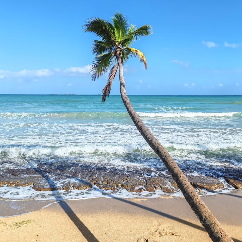 InTravel - Dominikaaninen tasavalta; Boca Chica, Las Terrenas ja Samana Playa Bonita, Las Terrenas | Dominikaaninen tasavalta; Boca Chica ja Samanan niemimaa | InTravel blogi
