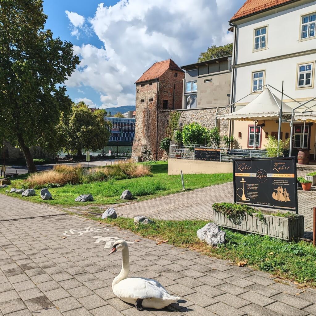 Maribor, Slovenia | InTravel