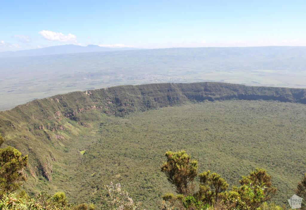 Kraaterin reuna ja kraaterissa kasvava metsä | Mount Longonot National Park | Naivasha, Kenia | InTravel