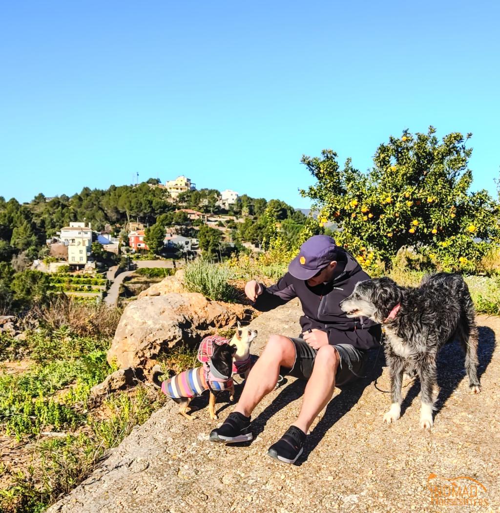 InTravel - Alicantea, appelsiinilehtoja ja koiranvahtihommia Koiravahteina Espanjassa | InTravel