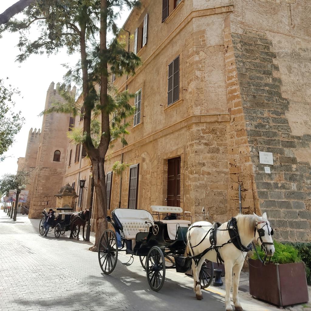 Palma de Mallorca | InTravel