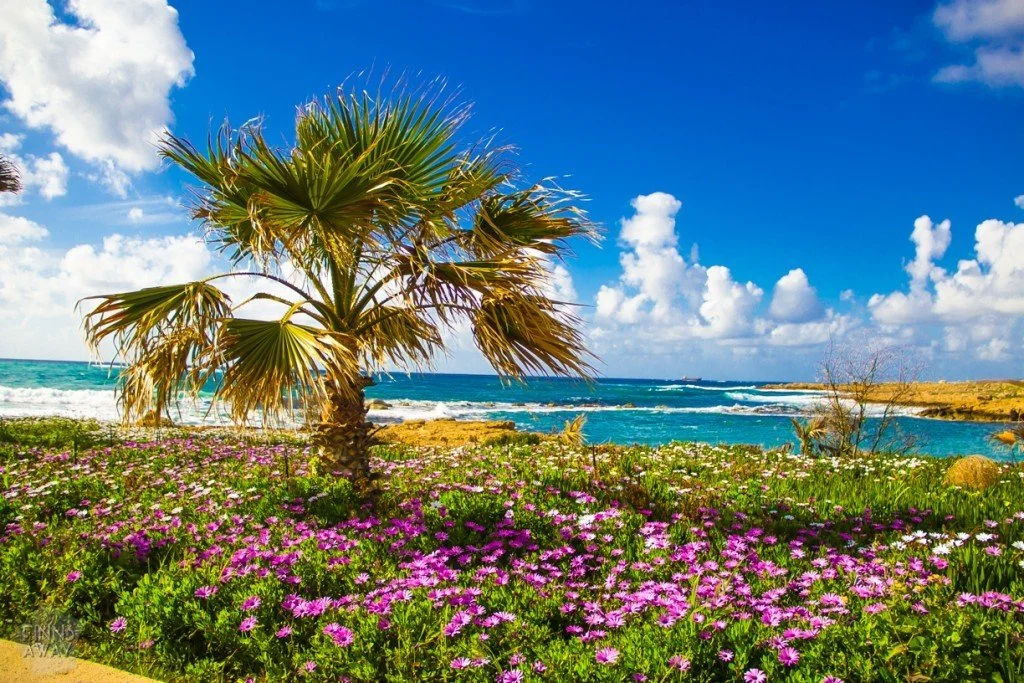 InTravel - Maaliskuu 2018: Lumiseen ja kylmään Suomeen Rantamaisema, Paphos, Kypros | InTravel blogi