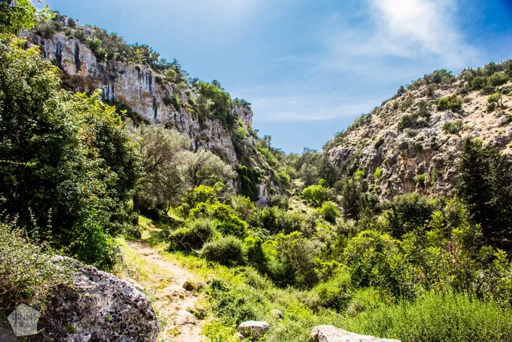 Akamas Peninsula, Kypros | InTravel Blogi